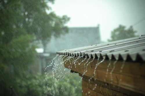 Top 5 reasons to harvest rainwater - Cotterill Civils