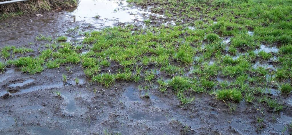 How to check your land drainage is working?