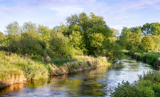 Why English rivers fail pollution test?