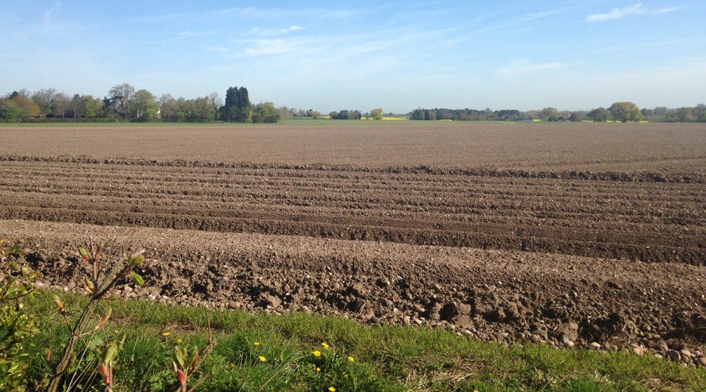 How to improve soil quality in farming?