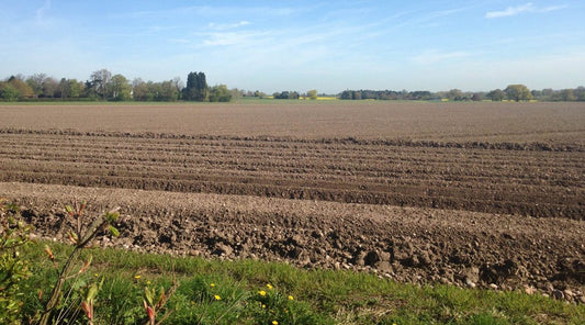 How to Improve Soil Quality in Farming?