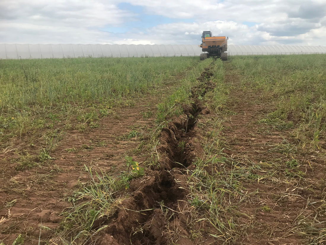 Top 5 Farming Trends in 2023