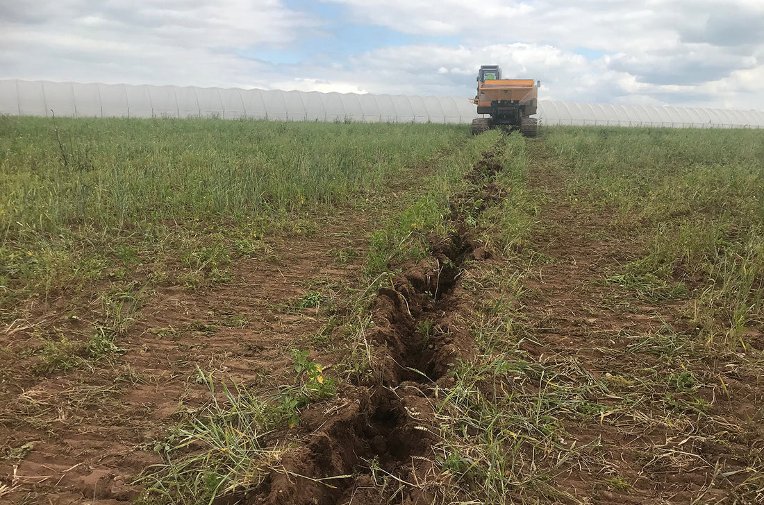 How Does Land Drainage Help Reduce Greenhouse Gas Emissions?