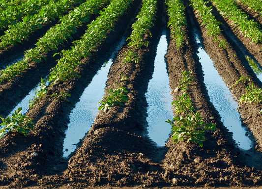 Low Commodity Prices Impact Demand for Land Drainage
