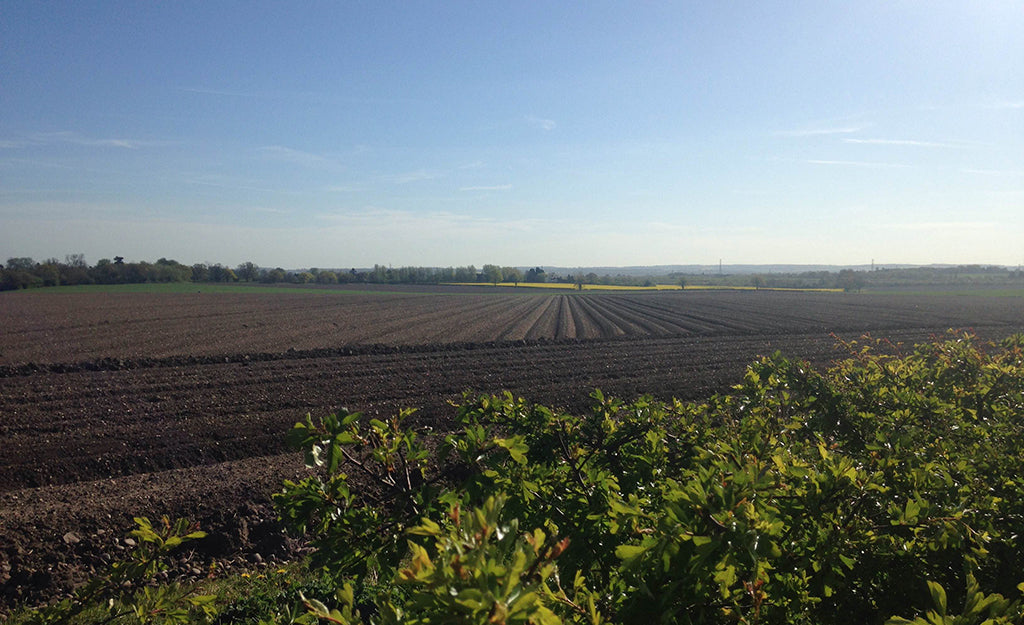 How Farmers can Protect Soil from Extreme Weather