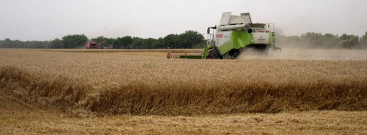 Top 5 Reasons to Invest in Land Drainage