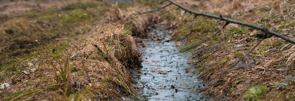 How to check whether your septic tank is polluting a local watercourse?