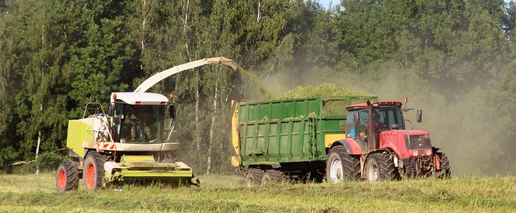 How to safely store silage?