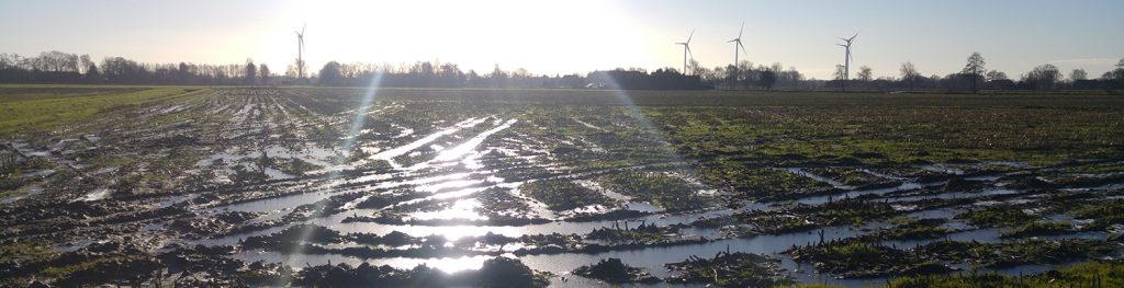 Top Tips for Mole Draining