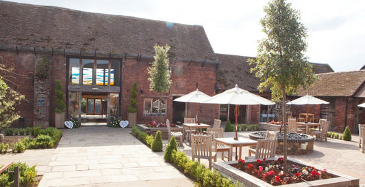 Top 5 ways to diversify in farming & boost your income