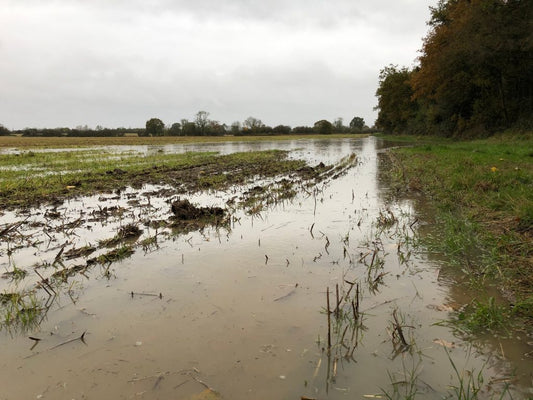 How will your watercourse cope with Storm Dennis?