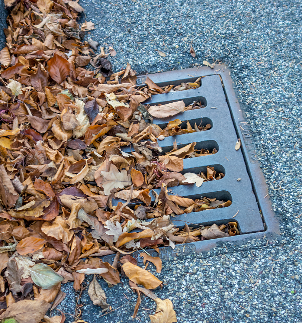 How to clear a blocked gully?