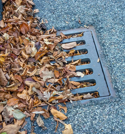 Blocked Gully