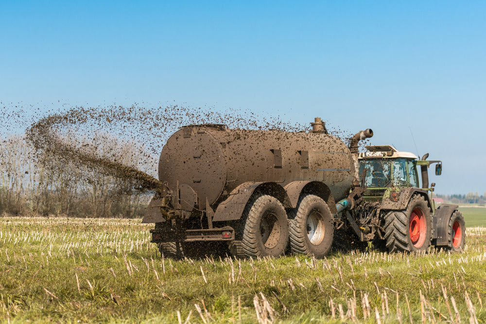 What is a Slurry Lagoon?