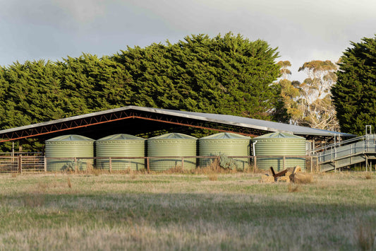 Plastic Water Tank for Agriculture vs Steel
