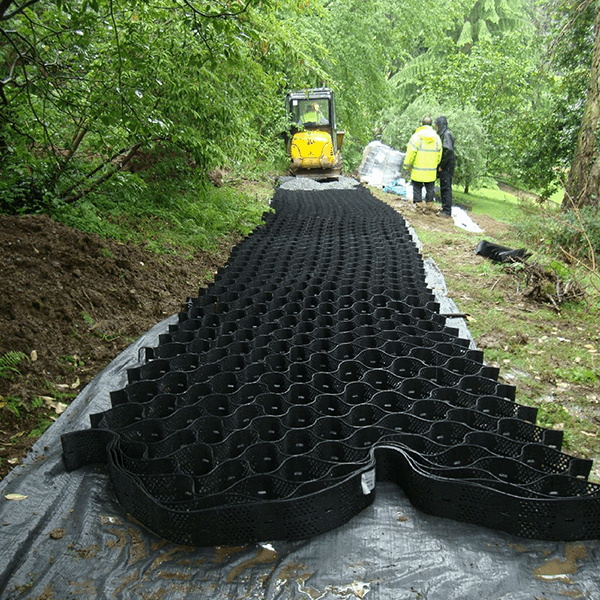 Geoweb Tree Root Protection – Cotterill Civils
